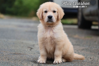 Miss Charbon